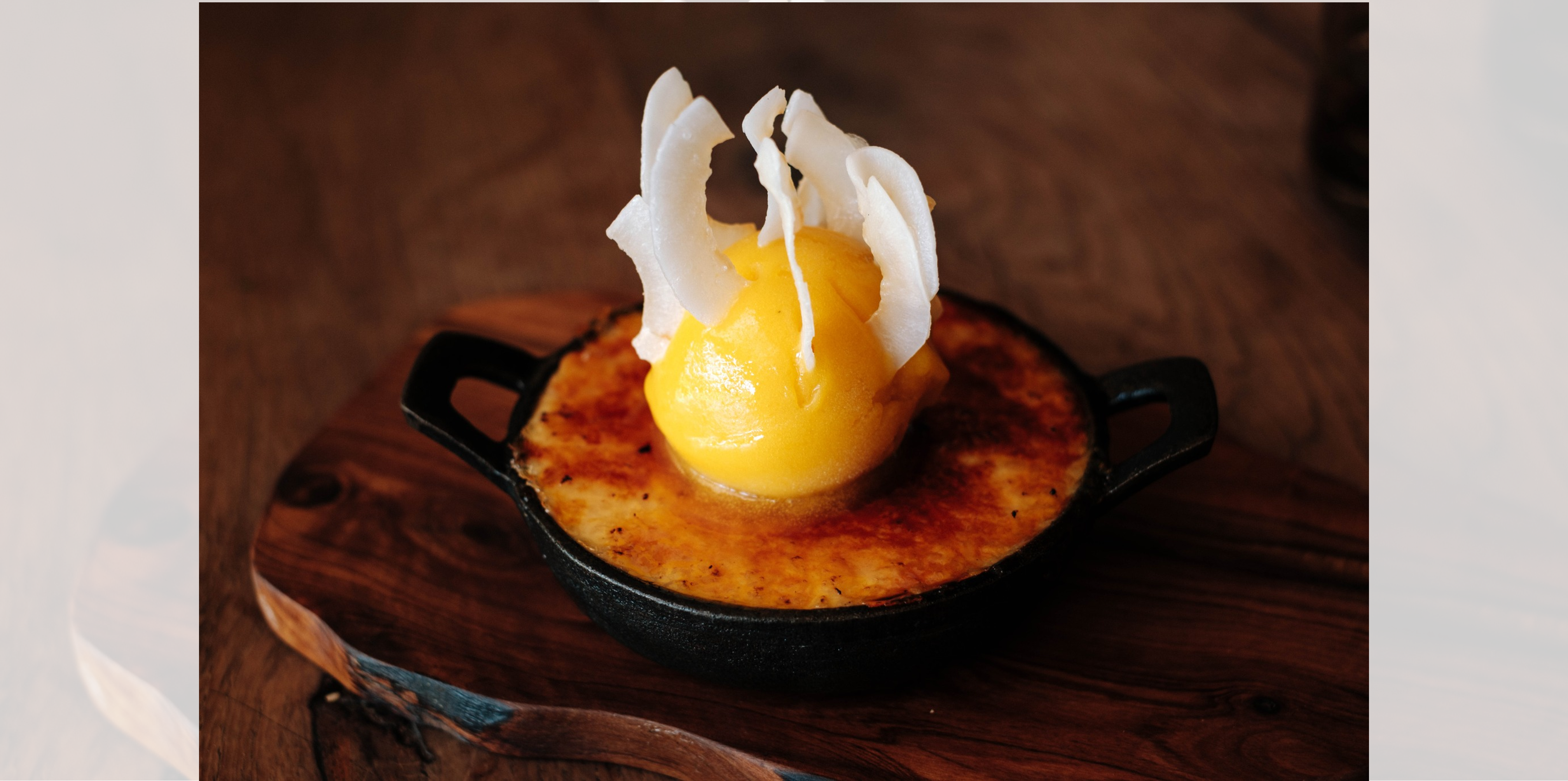 JAVO_1876